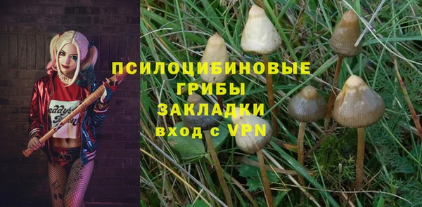 метадон Медвежьегорск
