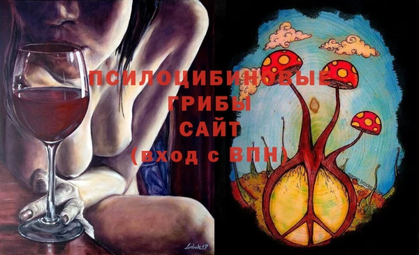 стафф Протвино