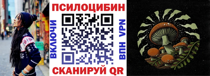 Псилоцибиновые грибы Psilocybe  Минусинск 